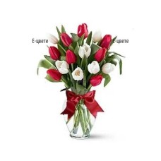 Bouquet of tulips
