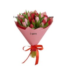 Bouquet of red and pink tulips
