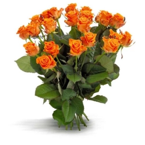 Orange roses