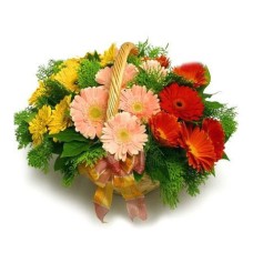 Flowers basket with gerberas