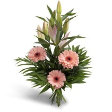 Bouquet - Phoenix (Delux)