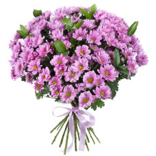 Bouquet of pink chrysanthemums with a bow