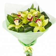 Bouquet of orchid Cymbidium