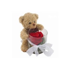 Careful Teddy Bear