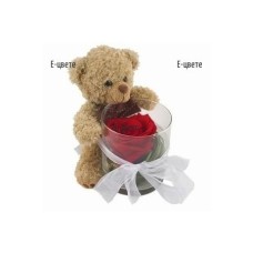 Careful Teddy Bear
