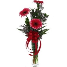 Bouquet of Three Gerberas and Greeney