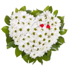 Gentle heart