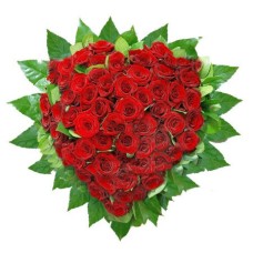 Heart of 55 roses