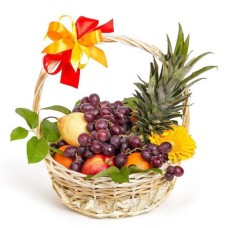 Fruit garden