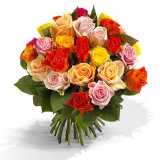 Colourful roses