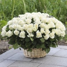 Basket with 101 white roses