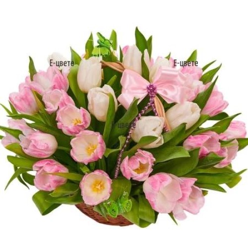 Gentle spring
