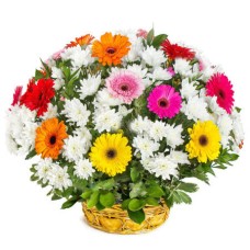 Richness of flowers