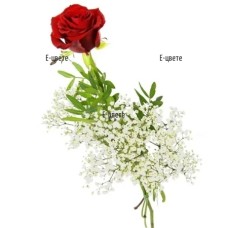 One Red Rose