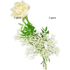 One white rose