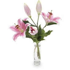 Bouquet - The flight of the Butterfly
