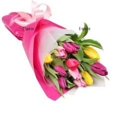 11 flower tulips