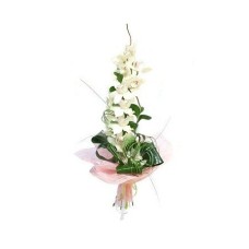 Bouquet of White Cymbidium Orchid