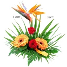 Flower arrangement - Fairy Day