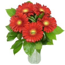 Gift