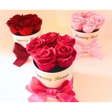 Roses S