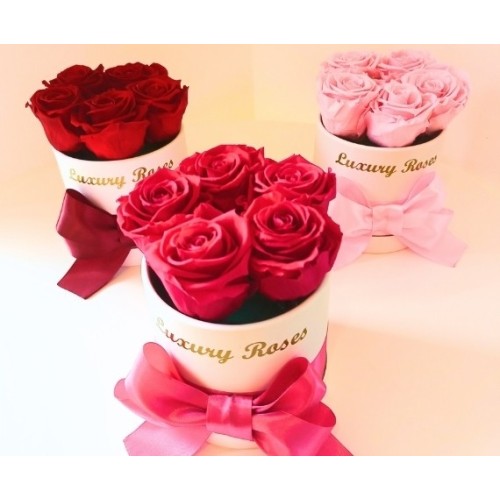 Roses S
