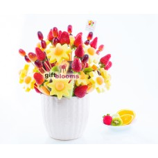 Fruit Treasure (Medium)