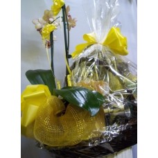 Personalized Basket with Orchid Plant