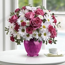 Pink Daisy Delight