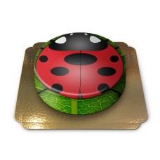 Ladybug cake (Small (18 cm(6-8 pieces)))