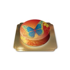 Butterfly cake (Large (36 cm(41 pieces)))