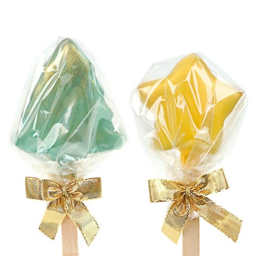 Magical Cake-Pops (12 pcs)