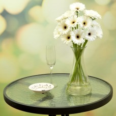 white gerbera