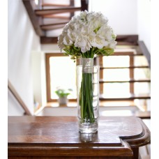 white freesia