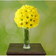 yellow chrysanthemum