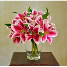 Royal lily