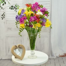 colorful freesia
