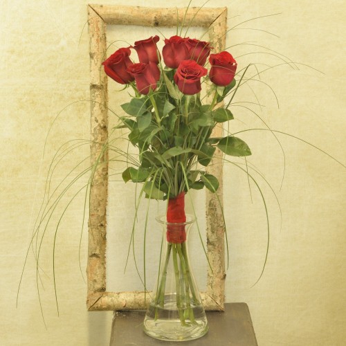 Valentine's Day roses of love