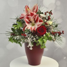 Red bouquet with amarylisom