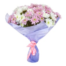 Mixed Chrysantemums