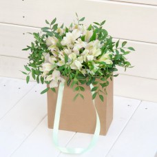 White Alstroemeria