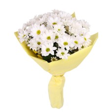 Chrysanthemum Flowers (7 branches)
