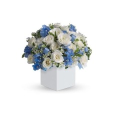 Celebrating Baby Boy - Flower Arrangement