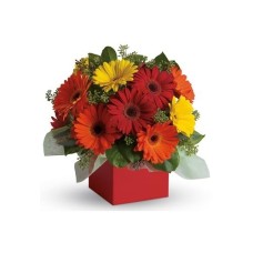 Glorious Gerberas - Flower Arrangement Glorious Gerberas - Flower Arrangement