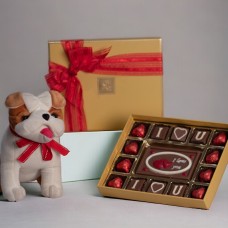 An extremely cute Puppy with a box of Belgian chocolates and 'I Love You' Milk chocolate Bar