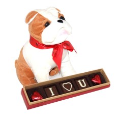 Puppy Soft Toy Holding A